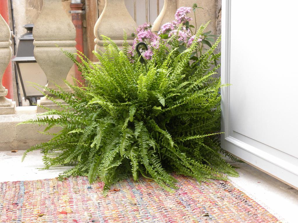 Ferienwohnung La Terrasse Du Marche Aux Fleurs Montpellier Exterior foto
