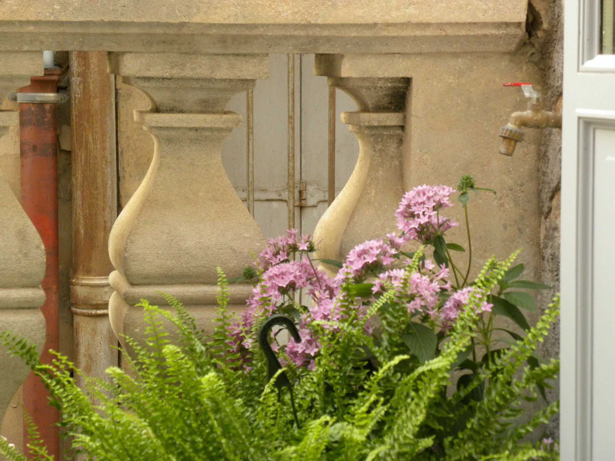 Ferienwohnung La Terrasse Du Marche Aux Fleurs Montpellier Exterior foto